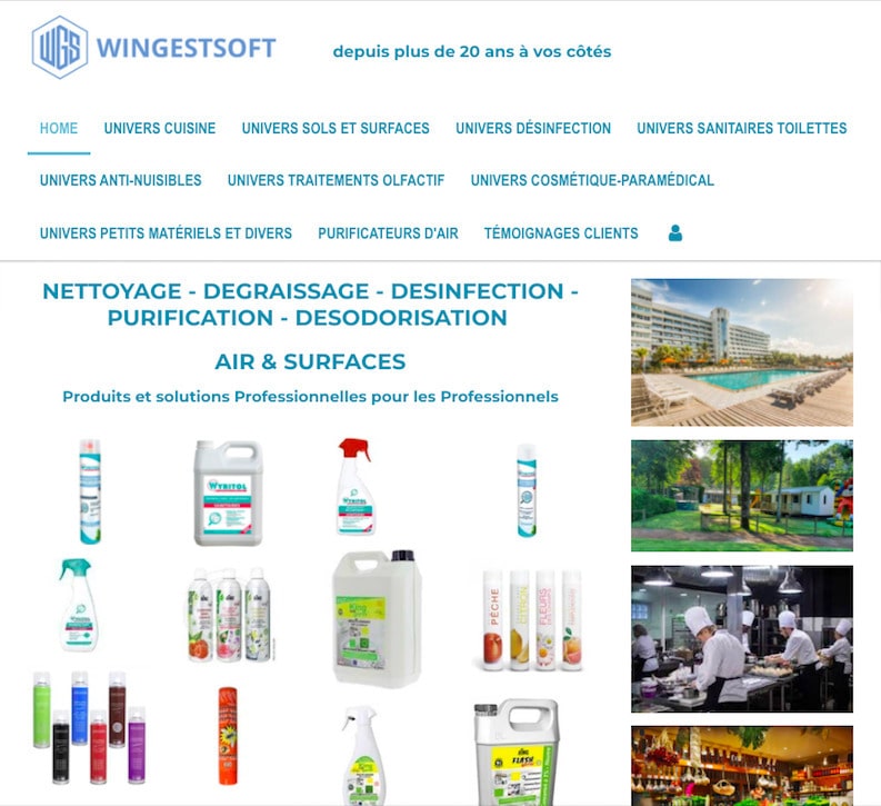 Site wingestsoft